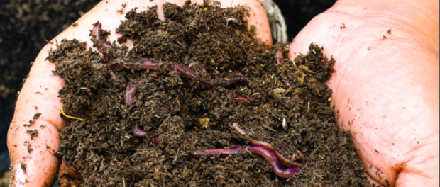 Soil Health -05-23 at 8.56.05 AM soil health and organic farming
