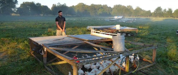 Farm Chores farm internship in Virginia