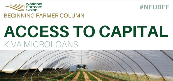 unnamed (1) Kiva microloans
