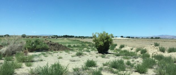 Lazy H5 South Nevada Farmland