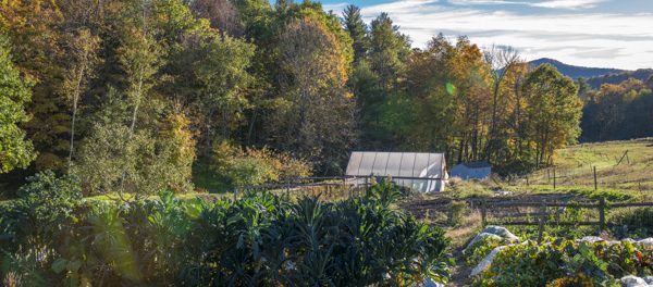 _LUD6899 organic vegetable farmer position