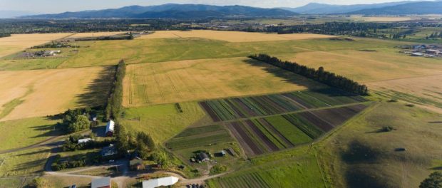 DJI_0286 Montana Organic Farm